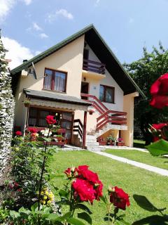 Apartments Šćepanović - Kolašin - 8