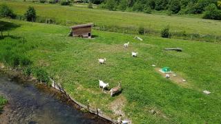 L ANCIEN MOULIN A GRAINS - Valmont - 3