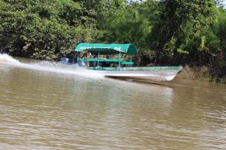 Hotel Nueva Alianza - Frontera Corozal - 7