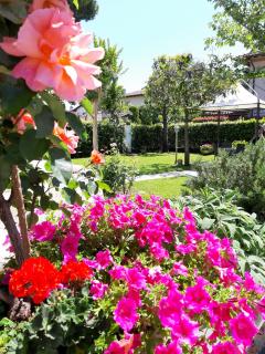Villa Alcione - Forte dei Marmi - 6