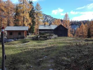 Ferienwohnung Wohlfahrter - Bad Mitterndorf - 2