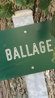 Le gîte de Ballage - Chemillé-sur-Dême - 7