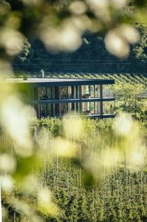 Garni-Hotel Der Forsterhof - Algund - 5