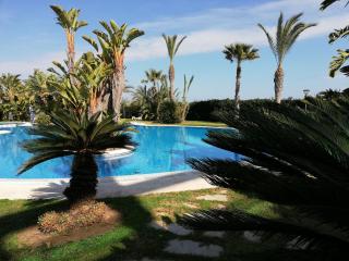 Dorasal Solo Familias Serviplaya - Playa de Xeraco - 4