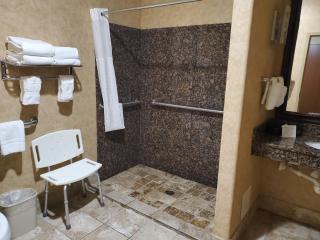 Comfort Suites At Kennesaw State University - Kennesaw - 8