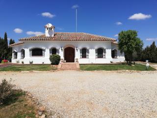 Chalet Alavesa - Lagunas de Ruidera - Argamasilla de Alba - 9