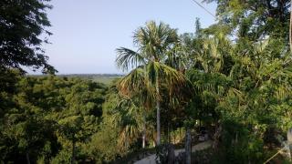 Hostal Brisas del Campo - Guachaca - 1