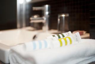 Bush Hotel Farnham - Farnham - 9