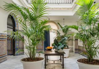 Santa Paula Pool & Luxury - Sevilla - 8