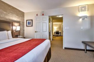 Comfort Inn & Suites South - Calgary - 9