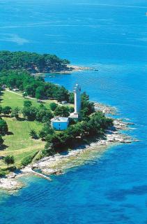 APP EMONA - Bašanija - 8