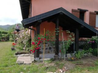 Il pettirosso di Giusvalla - 2