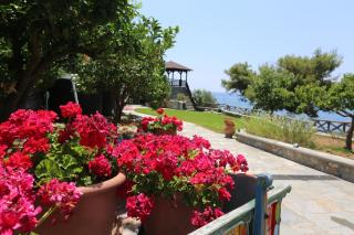 Seaside 2 - Agia Paraskevi - 4