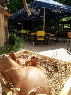 Daeli Hotel - Mestia - 3