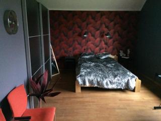 Konrads Apartment - Mārupe - 3