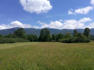 Stari mlin - 7