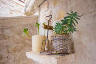 Apartment Ivan city center - Šibenik - 7