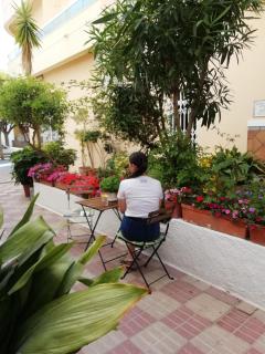 Hotel Avenida 31 - Marbella - 2