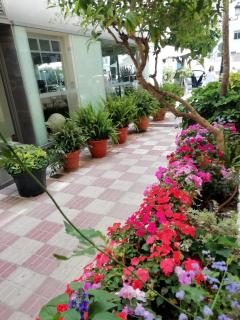 Hotel Avenida 31 - Marbella - 3