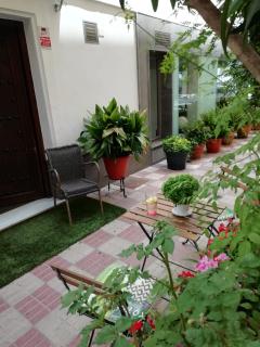 Hotel Avenida 31 - Marbella - 5