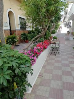 Hotel Avenida 31 - Marbella - 6