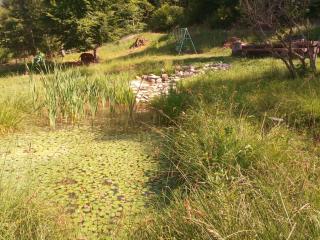 Gîte de Champflorin - 4