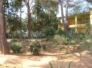 LES CACTÉES maison climatisée avec jardin clos et parking - Bormes-les-Mimosas - 6