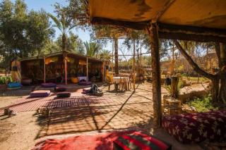 Eco-Ferme Tamalait Skoura - Skoura - 3