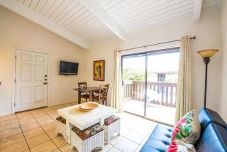 Cozy condo in Tiki 209 private beach access - 5