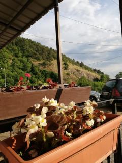 Apartman Lili - 9