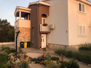 Apartments Elvira - Zaton - 1