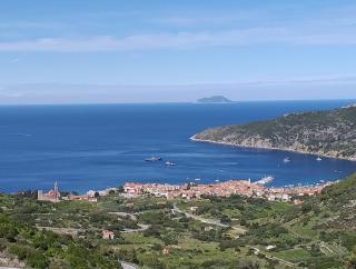 Apartman Mihaela - 6