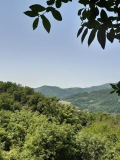 Country Residence Turicchi - Londa - 2