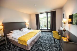 Parkhotel Carlsbad Inn - Karlovy Vary - 4