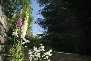 Valinka - chata pod rozhlednou Val - Červená Voda - 1