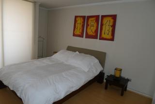 Chilean Suites Providencia - Santiago - 6