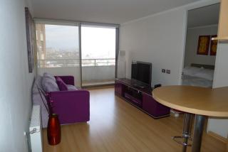 Chilean Suites Providencia - Santiago - 9
