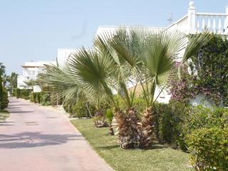 Bahía de Vera Apartamento Hibiscus - Vera - 8