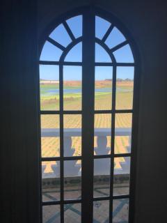 RIAD DES OISEAUX - El Aouamra - 8