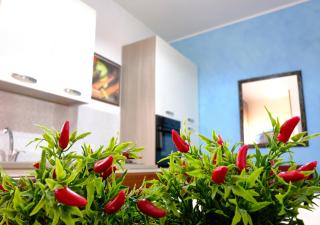 Appartamento Lavinia - 4
