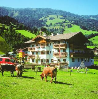 Bauernhofhotel "die Unterbergerin" - Zimmer mit Frühstück und Ferienwohnungen in Gastein mit GRATIS Thermeneintritt - Dorfgastein - 7