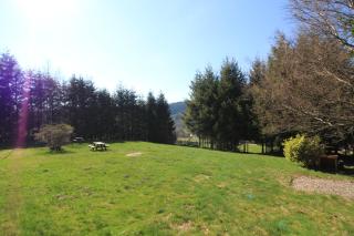 Gîte Les Jonquilles - Le Bonhomme - 5