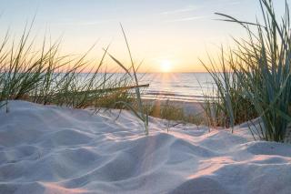 White Pearl Apartment 1.03 - Timmendorfer Strand - 9