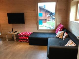 Chalet Vicky et Nino - Les Diablerets - 3
