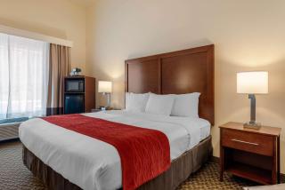 Comfort Inn & Suites Airport - Fort Myers - 4