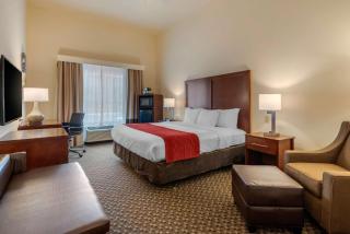Comfort Inn & Suites Airport - Fort Myers - 3