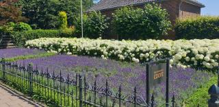 Bed & Breakfast Coopz - Doetinchem - 5