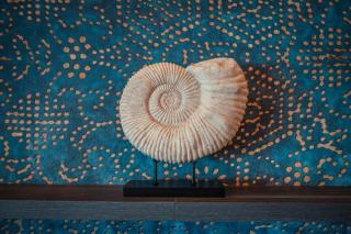 Nautilus Hotel - Giardini-Naxos - 3