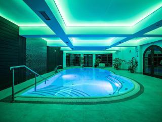 Villa Wernera Hotel & Spa - Szklarska Poręba - 8