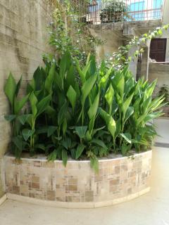 Mario Rooms - Vasiliki - 9